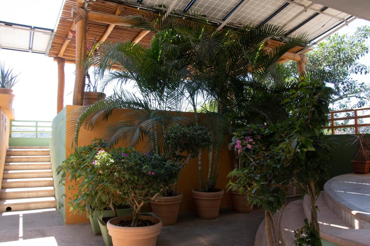 Mboutique Hotel Саюлита Екстериор снимка